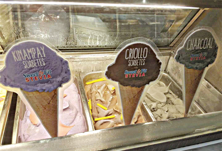 Ice Cream with GIDC Philippines Stevia