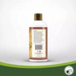 Body Herbs Shampoo with Conditioner 300mL (w Gugo, Olive OIl, Stevia) - GIDC Philippines