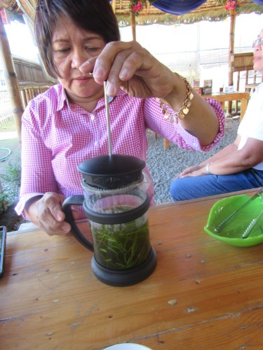 SWEET & FIT Mrs. De Leon preparing Stevia tea with tarragon.