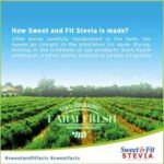 How sweet and Fit stevia is made?