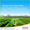 Sweet & Fit Stevia Farm - GIDC Philippines