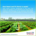 Sweet & Fit Stevia Farm - GIDC Philippines