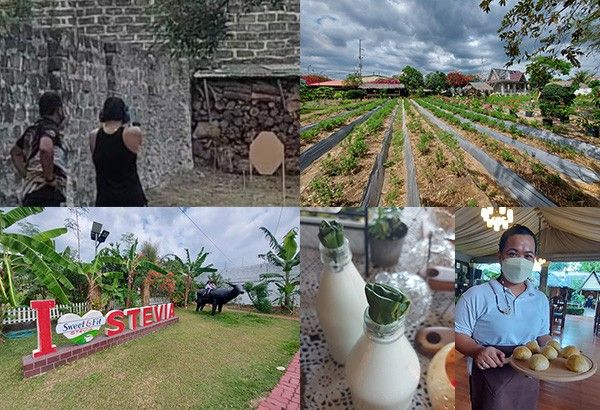 Taste of ‘Ang Probinsyano’: Philippines’ first Stevia farm reimagines Bulacan heritage cuisine