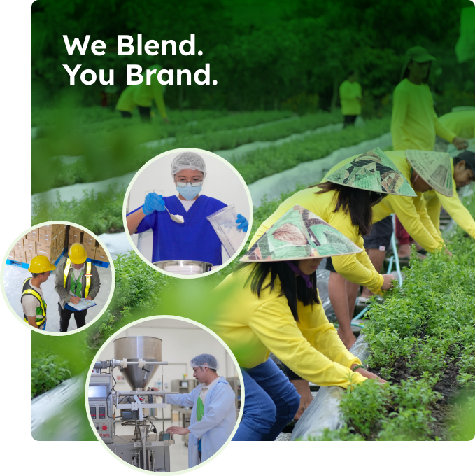 home-we-blend-you-brand We Blend. You Brand.